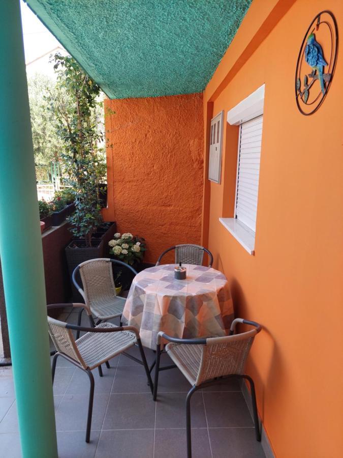 Mexicana Apartment Yellow Zadar Exterior photo
